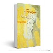 سیرت یک دیوانه