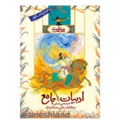 ادبیات جامع اختصاصی انسانی