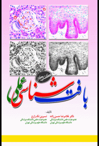 2fd9aeb4-707e-41f3-b693-51b3e8c398f5