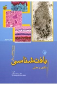 52_375_345_70_constrainproportion