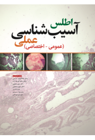 85e72f9d-bbca-4b56-854a-ba9191482a13