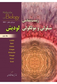 _________________526391638638f