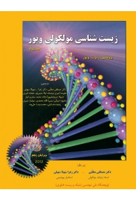 _________________526393120dd24