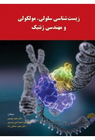 _________________5558497d420a4