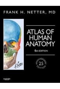 download_2_2032598206