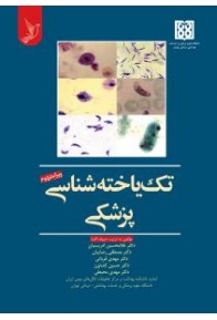 material_2_1186535889