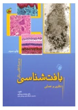 52_375_345_70_constrainproportion