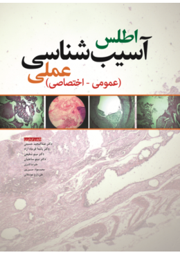 85e72f9d-bbca-4b56-854a-ba9191482a13