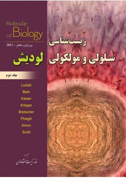 _________________526391638638f