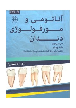 material_1_1726055350