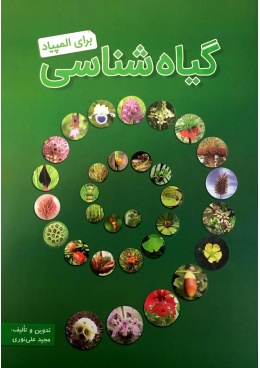 photo_2017-10-29_09-59-48